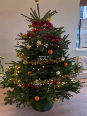 how much more christmas vibes do you need ✨🎄 #officelife #foryou #christmas #shoutmedia #christmastok